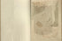 Asia from Theatrum Orbis Terrarum 1570 by Relic Map Company