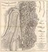 Map of the Siege of Vicksburg, Miss., 1863 from Military Maps. 1879 by Relic Map Company