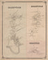 Greenwich, Deerfield, Heislerville from New Historical Atlas of Cumberland Co., New Jersey : 1876 by Relic Map Company