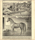 Nathan Carriers Cottage & Grounds from Caldwell&