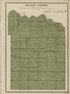 Mosquito Township from Plat Book and Complete Survey of Christian County, Illinois 1924 by Relic Map Company