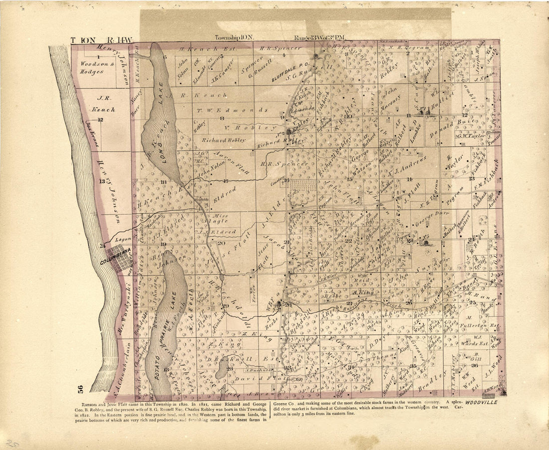 This old map of T 10N R. 14W from Atlas Map of Greene County, Illinois from 1873 was created by Lyter &amp; Co Andreas in 1873