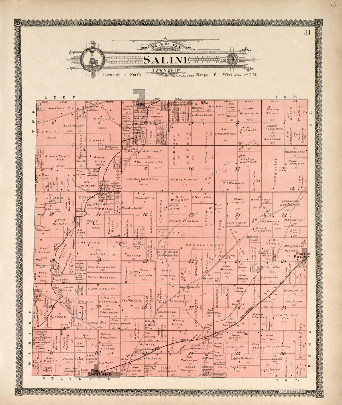 Saline Township from Standard Atlas of Madison County, Illinois 1906 by Relic Map Company