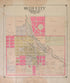 Reed City from Plat Book of Osceola County, Michigan 1900 by Relic Map Company
