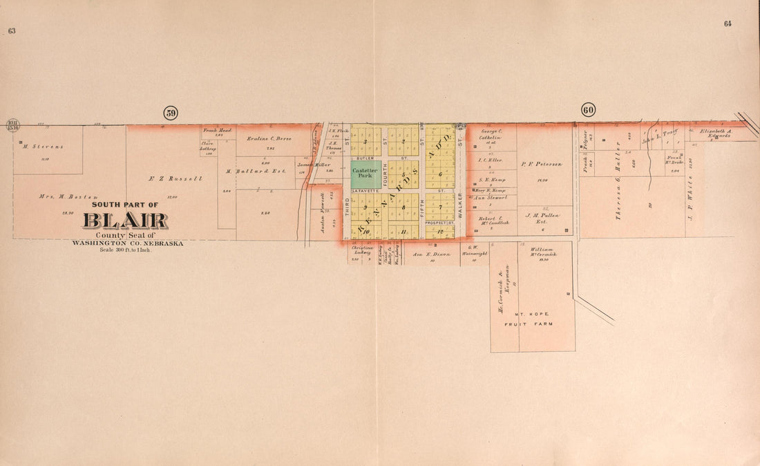 This old map of Blair, South Part from Plat Book of Washington County, Nebraska from 1908 was created by Albert Volk in 1908