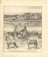 Helena Stock Farm from Meacham&