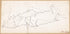 Sheet 4 - Map of Lower Rio Motagua and Foot Hills to the South, Extending from the Coast to the R. Chachualillo / Compiled from Various Maps, 1928 from Maps of Guatemala-Honduras Boundary. 1918 by Relic Map Company