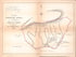 Plan of the Pennistons Estate from Encumbered Estates In the West Indies (St. Vincent) 1865 by Relic Map Company