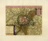 Plan De La Ville De Menin from a Collection of Plans of Fortifications and Battles, 1684-1709 by Relic Map Company