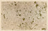 Image 13 from Carte De France 1756 by Relic Map Company