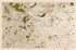 Image 28 from Carte De France 1756 by Relic Map Company