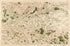 Image 48 from Carte De France 1756 by Relic Map Company