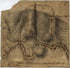 Copy of a Sketch of the Monongahela, With the Field of Battle 1755 by Relic Map Company