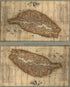 Taiwan Qian Hou Shan Quan Tu (台灣前後山全圖 /, Map of Taiwan Island) 1875 by Relic Map Company