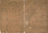 The United States According to the Definitive Treaty of Peace Signed at Paris Sept. 3d. 1783 1784 by Relic Map Company